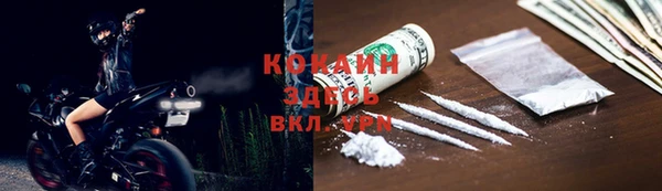 шишки Алзамай