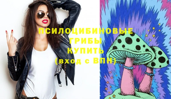 шишки Алексин