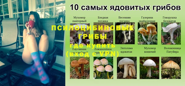 a pvp Алексеевка
