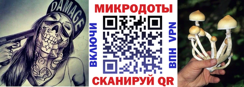 нарко площадка формула Заозёрный Галлюциногенные грибы Psilocybine cubensis